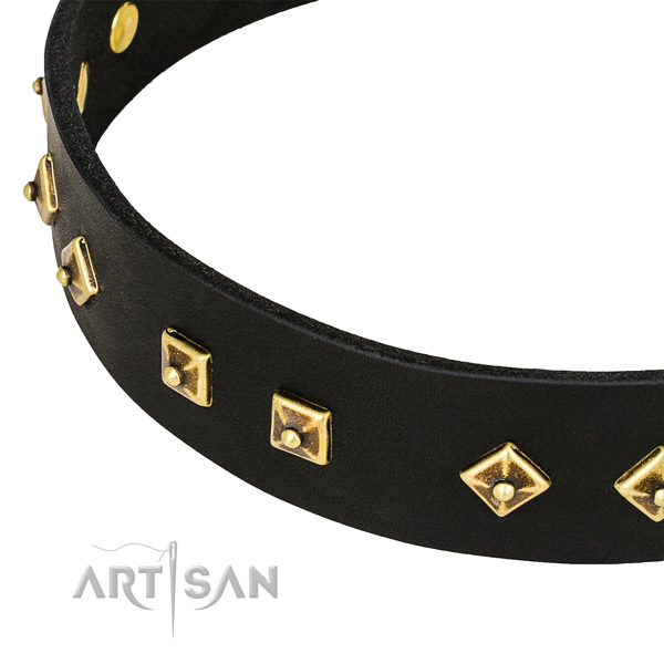 Decorated genuine leather collar for your attractive dog