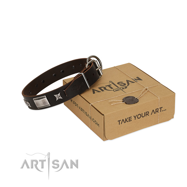 Unique collar of genuine leather for your lovely dog