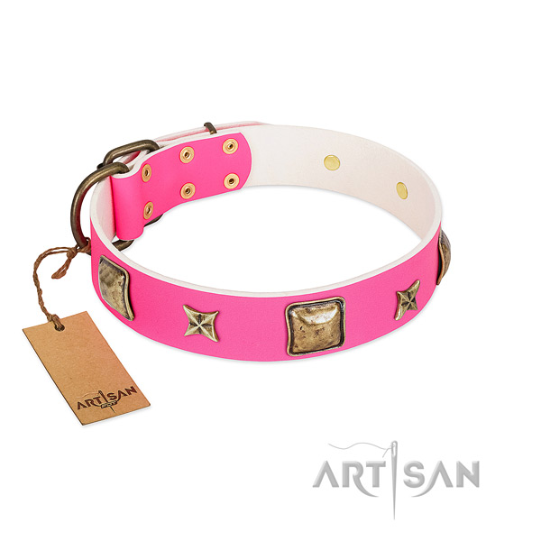 Genuine leather dog collar of soft to touch material with top notch embellishments