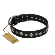 "Genteel Charm" FDT Artisan Black Leather dog Collar with Silver-like Round Conchos "Genteel Charm" FDT Artisan Black Leather dog Collar with Silver-like Round Conchos