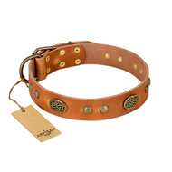 "Sun Beams" FDT Artisan Tan Leather dog Collar with Decorations