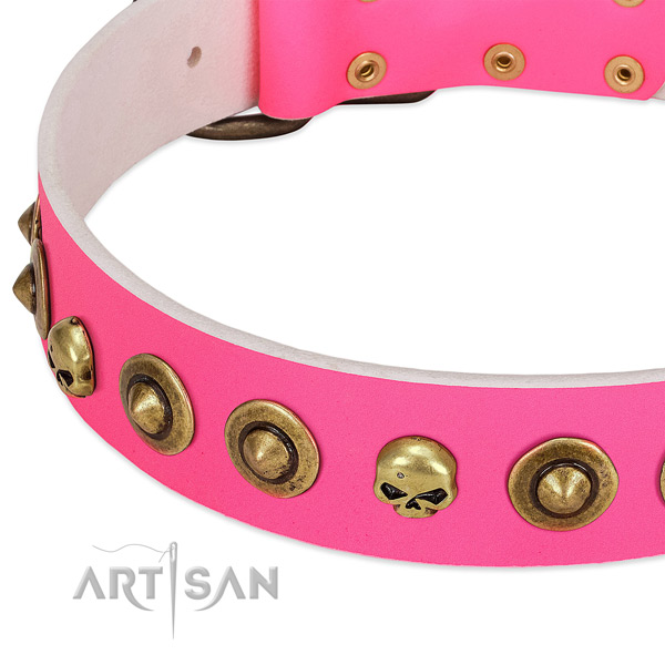 Remarkable embellishments on leather collar for your canine