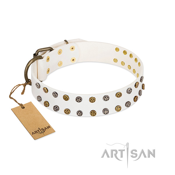 Exceptional genuine leather dog collar with durable studs