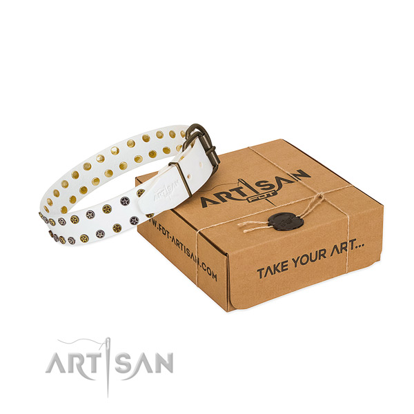 Stunning leather dog collar with rust-proof embellishments