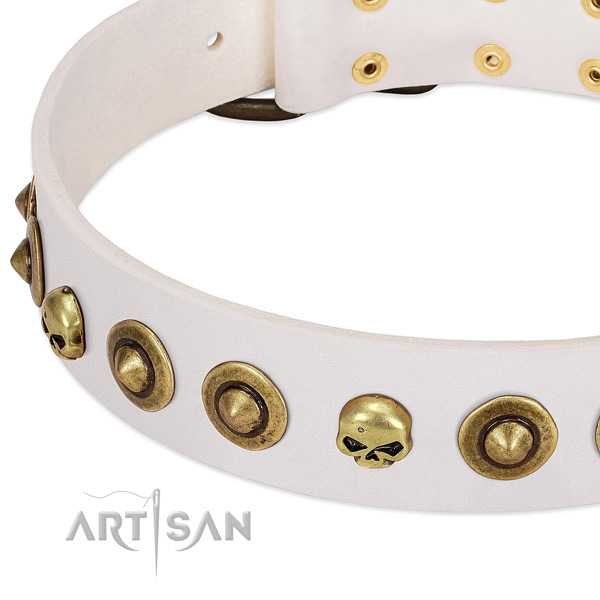 Incredible adornments on full grain natural leather collar for your pet