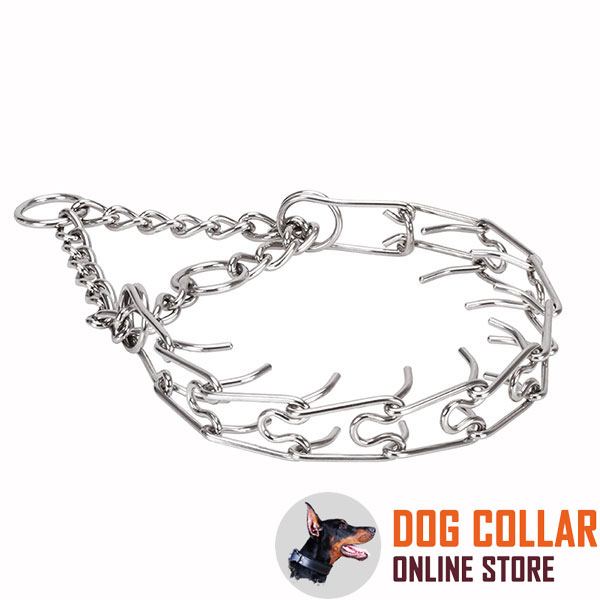 Prong collar of stainless steel for poorly behaved pets