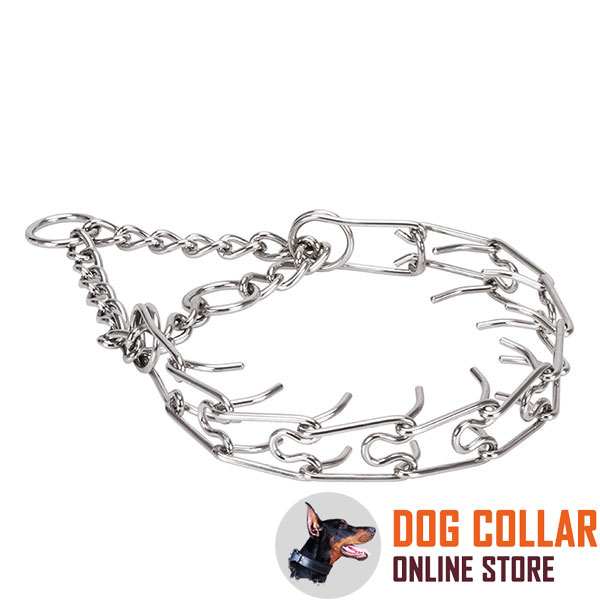 Rust resistant stainless steel pinch collar for ill behaved canines