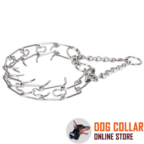 Dog prong collar of durable stainless steel for large canines