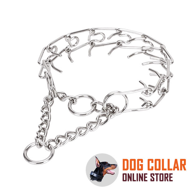 Stainless steel dog pinch collar for large breeds