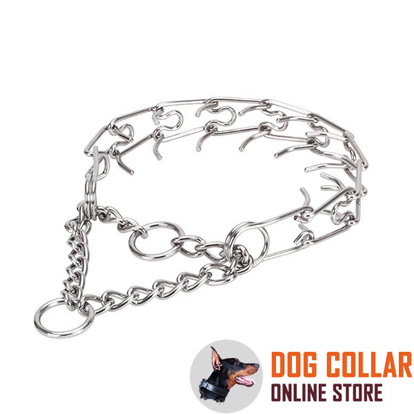 Adjustable stainless steel dog pinch collar with removable prongs for large canines