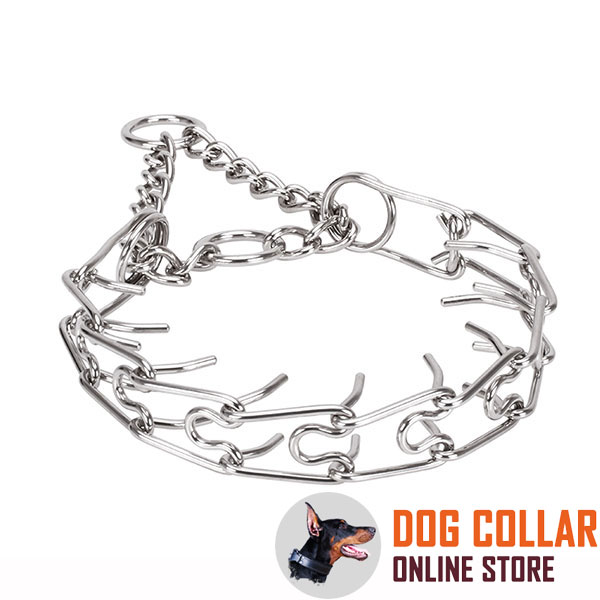 Corrosion resistant dog pinch collar with stainless steel removable links