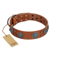 Artisan Collars : Dog collar, Leather dog collar, Nylon dog collar 