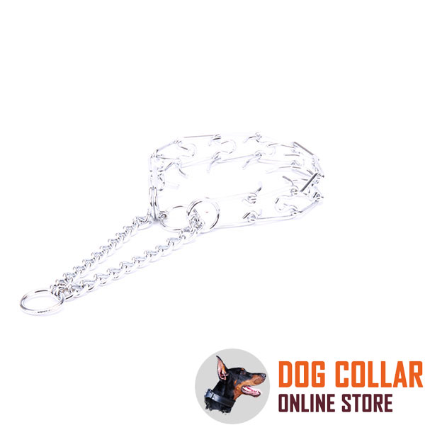 Dog pinch collar of chrome plated steel for disobedient dogs