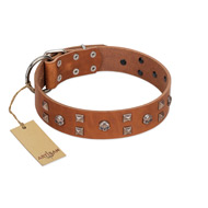 "Enchanted Skulls" FDT Artisan Tan Leather dog Collar with Chrome Plated Skulls
