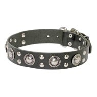 'Rock n Roll' Leather Dog Collar with Awesome Decorations