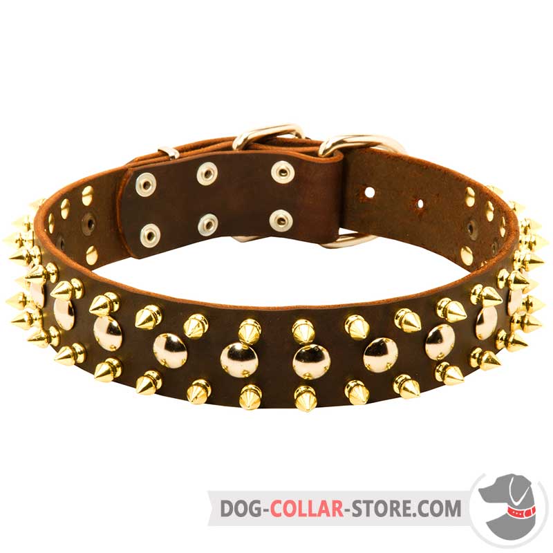 spiked dog collar