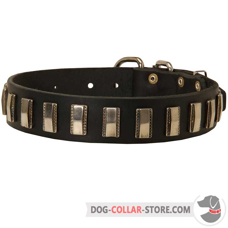 plated leather dog collar