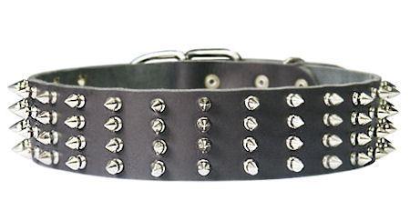 Training Leather Dog Collar with Spikes