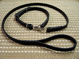 Easy Adjustable Training Leather Dog Collar and Leash