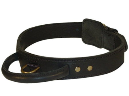Shock collar best sale for cane corso