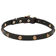 'Elegant Beauty' Leather Dog Collar with Brass Half-Ball Studs