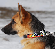 German Shepherd Hand Painted Leather Dog Collar with Red Flames