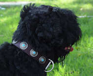 Brown Leather Russian Terrier Collar with Silver Plated Circles